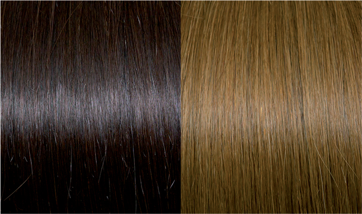 Keratin Fusion Classic Hair Extension 25 Strands Meches 4/14 Brown/Light Golden Brown Copper 60/65CM 25GR