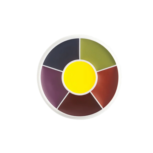 Professional FX Color Wheel EW-4 Master Bruise