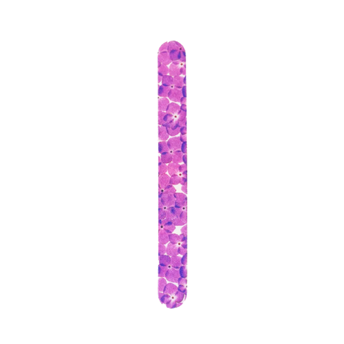 Design Nail File