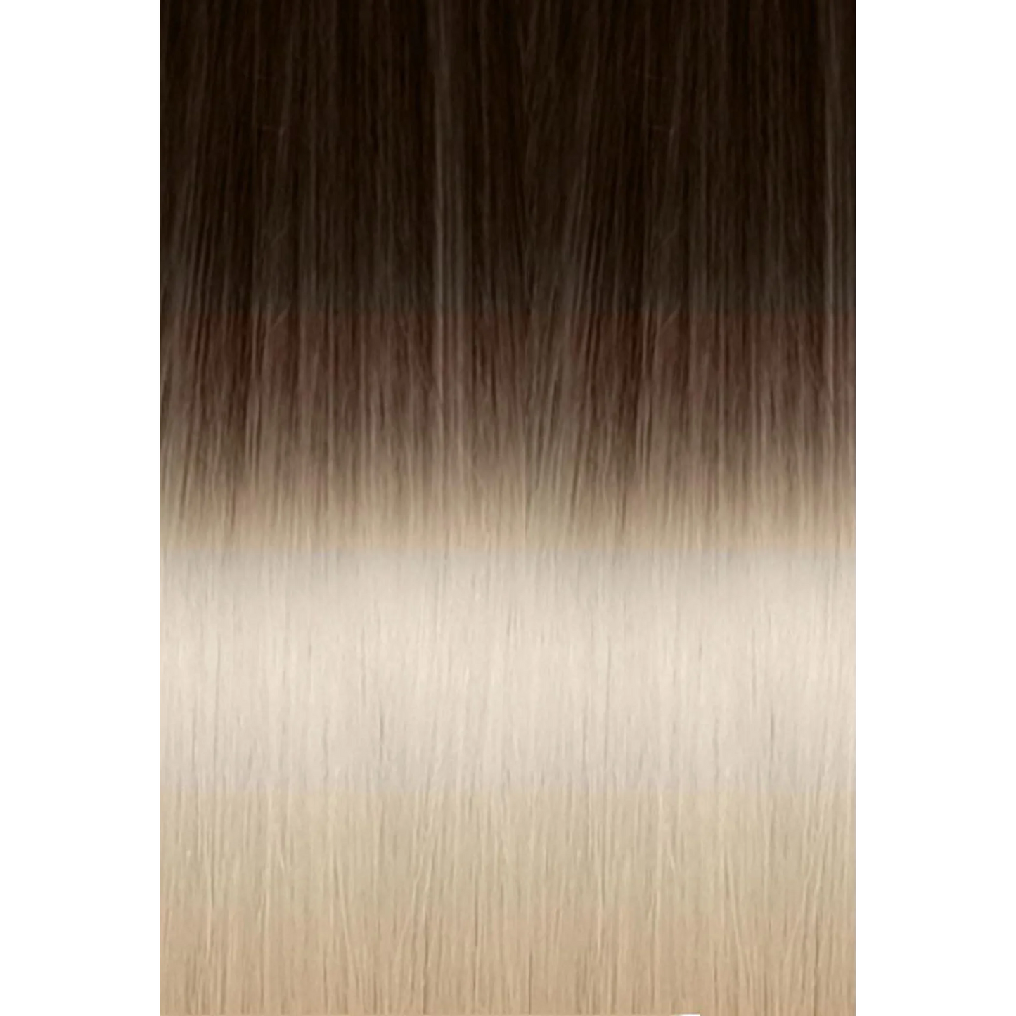 Tape-in Russian Hair Extension 6 PCS Ombre 4/1001 Brown/Platinum Blonde 55CM