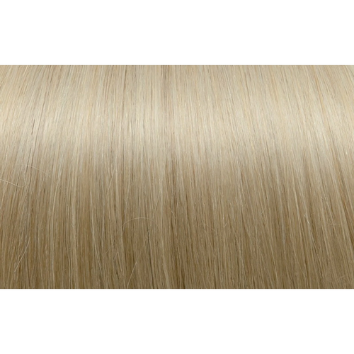 Tape-in Classic Hair Extension 6 Strands 1002 Very Light Ash Blonde 50/55CM 15GR