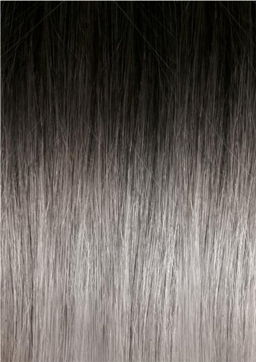 Tape-in Classic Hair Extension 6 Strands Ombre 1B/Silver 50/55CM 15GR